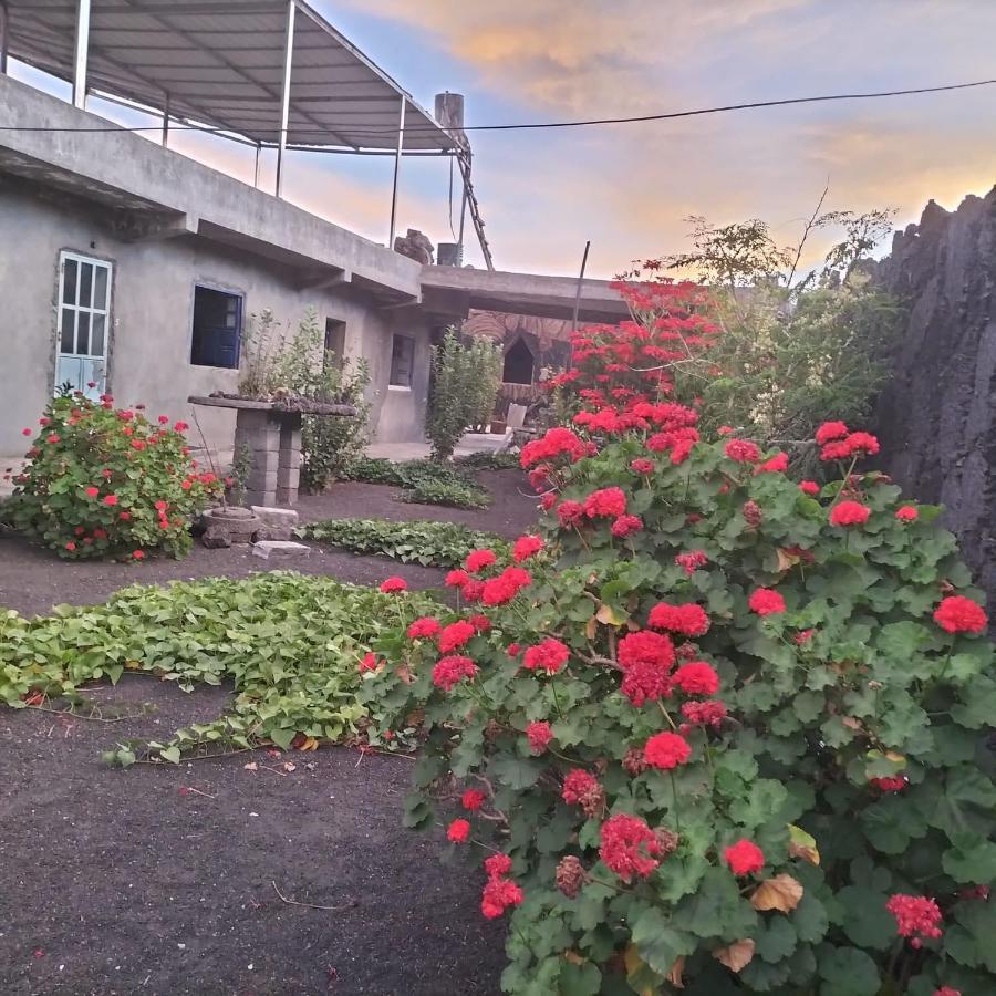 Pensao Repouso Alegre Turismo E Aventura Bed & Breakfast Portela Екстериор снимка